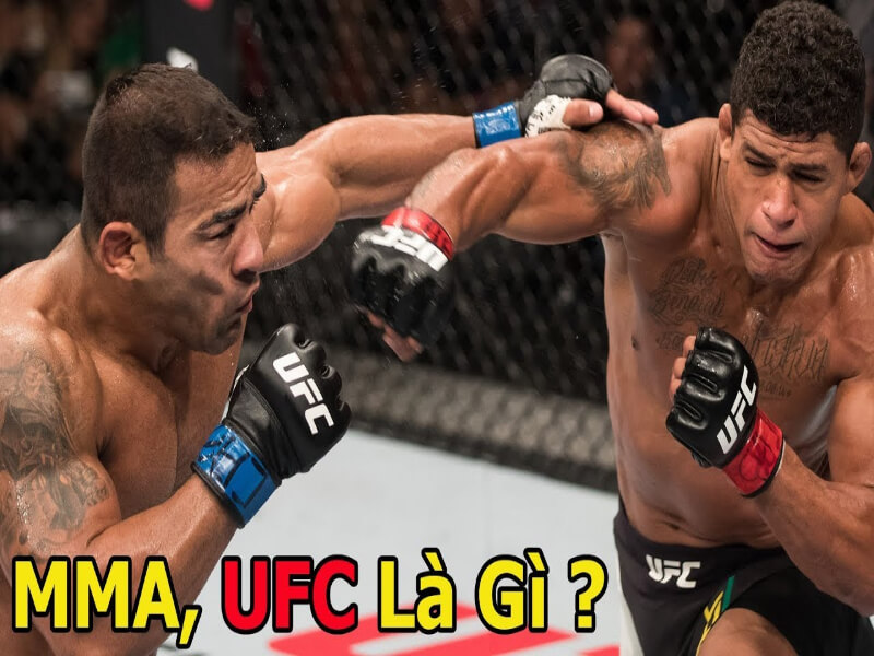 Cá độ MMA là gì?