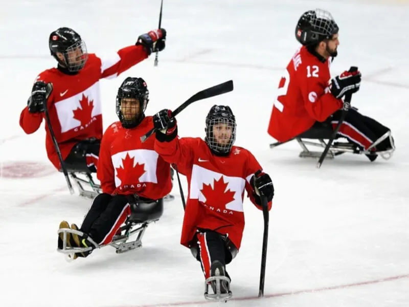 Danh sách các loại kèo cá độ hockey phổ biến nhất